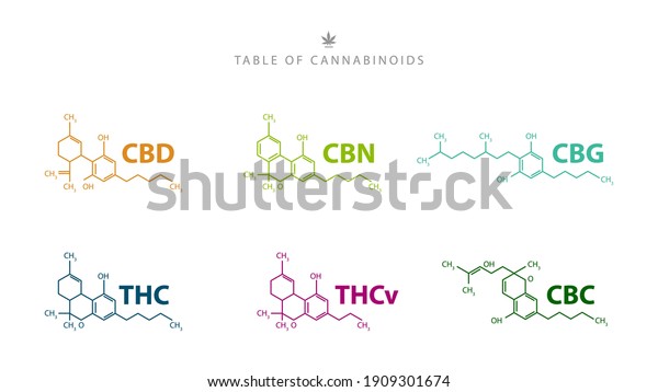 Table Cannabinoids Chemical Formulas Natural Cannabinoids Stock Vector ...