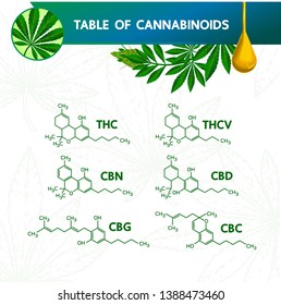 Tabelle von Cannabinoilds, Vektorgrafik.