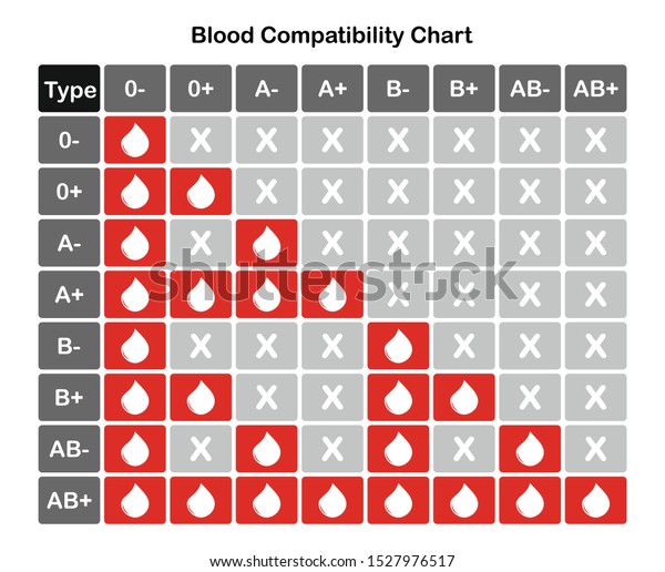 Table Compatibility Between Groups Blood Blood Stock Vector (Royalty ...