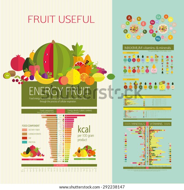 Table Energy Density Calorie Fruits Food Stock Vector (Royalty Free ...