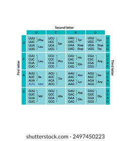 Table of RNA Codons - Genetic biological code of amino acids. Amino acid sequence chart. Eps 10 vector illustration.