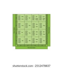 Table of RNA Codons - Genetic biological code of amino acids. Amino acid sequence chart. Eps 10 vector illustration.