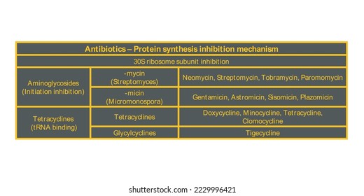 Table showing classification of 30S ribosome subuinit inhibitor antibiotcs with examples. Dark background neon orange text.
