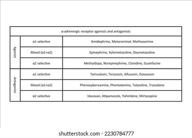 Tabla con ejemplos de clasificación de α agonistas de los receptores adrenérgicos y de los fármacos antagonistas. Diseño sencillo en blanco y negro.