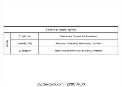 Table showing classification of β adrenergic receptor agonist drugs with examples. Black and white simple design.