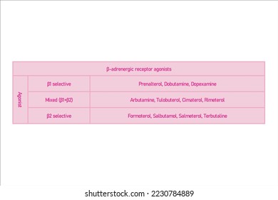 Table showing classification of β adrenergic receptor agonist drugs with examples. Blue background and text.
