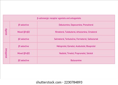Table showing classification of β adrenergic receptor agonists and atagonists drugs with examples. Blue background and text.