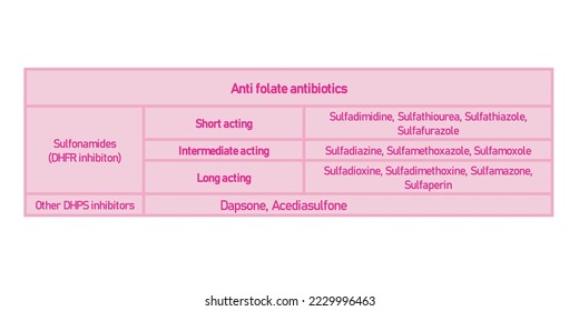 Table showing classification of Anti folate antibiotics with examples. Pink background and text.