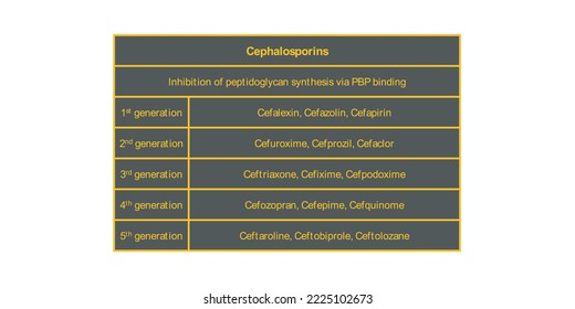 Table showing classification of Cephalosporin antibiotics by generation with examples, vector illustration. Dark background neon orange text.
