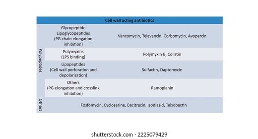 Table showing classification of Penicillin antibiotic by generations and chemical structure with examples.
