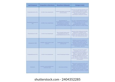 Table showing Phospholipids types, biosynthesis pathways and biological function - including PC, PE, PS, PI, SM, cholesterol Blue scientific vector illustration.