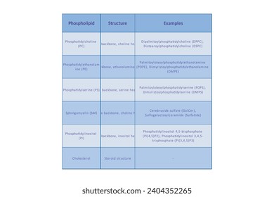 Tabla que muestra tipos de fosfolipidos, estructura química y ejemplos - incluyendo PC, PE, PS, PI, SM, colesterol Ilustración vectorial científica azul.