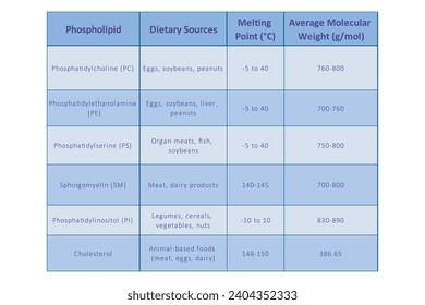 Table showing Phospholipids types, dietary sources, melting point and molecular weight - including PC, PE, PS, PI, SM, cholesterol Blue scientific vector illustration.
