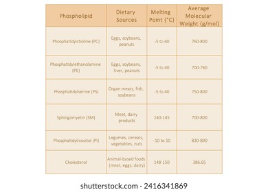 Table showing Phospholipids types, dietary sources, melting point and molecular weight - including PC, PE, PS, PI, SM, cholesterol Yellow scientific vector illustration.