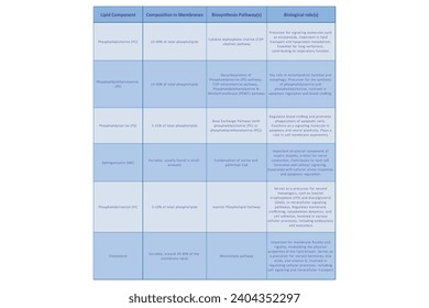 Table showing Phospholipids types, membrane composition, biosynthesis pathways and biological function - including PC, PE, PS, PI, SM, cholesterol Blue scientific vector illustration.