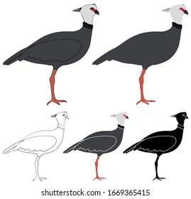Tacha-Vogel in Profilansicht
