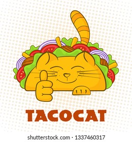 Taco cat cheerful character fast food taco symbol vector illustration. Satisfied cat mascot with tasty beef meat, salad and tomato in mexican taco with sign Tacocat for social media promotion