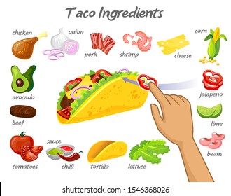 Taco-Konstruktor mit verschiedenen Bestandteilen, Vektorgrafik. Poster mit Hand, die Zutat in mexikanischen Lebensmitteln. Poster mit Hühnern, Zwiebeln und Chilis, Schweinefleisch und Garnelen, Rindfleisch und Tomaten