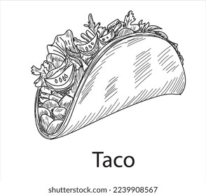 Taco mexican food vector. Best Mexican Dishes. Latin american food illustration.