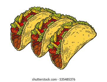 Taco. Mexican traditional food vector hand drawn illustration, menu label, banner poster identity, branding. Stylish design with sketch illustration of Mexican cuisine sketch. Tacos Isolated on white.