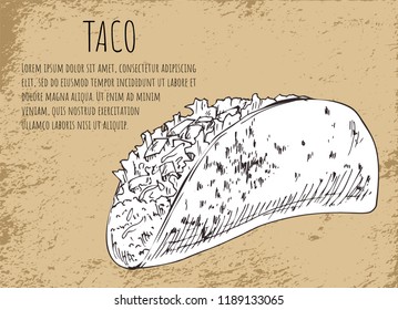Taco sketch on mexican fast food promo banner. Spicy foreign meal with lettuce leaves, meat slices and vegetables in crispy bread vector illustration.