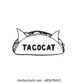 Tacocat - hand drawn dancing lettering quote isolated on the white background. Fun brush ink inscription for photo overlays, greeting card or t-shirt print, poster design