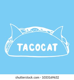 Tacocat - hand drawn lettering phrase for animal lovers on the blue background. Fun brush ink vector illustration for banners, greeting card, poster design