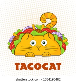 Tacocat surprised character fast food taco symbol vector illustration. Puzzled cat mascot with tasty beef meat, salad and tomato in traditional taco with sign Tacocat for social media promotion