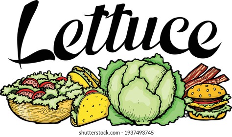 Tacos and hamburgers always taste better with some garden fresh lettuce. This illustration features the word lettuce surrounded by various items that include lettuce.