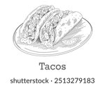 Tacos on plate, hand drawn sketch style. Traditional mexican food.