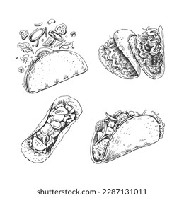 Tacos set. Hand-drawn sketch illustrations of traditional mexican food. Top, front, perspective view and taco with flying ingredients. Vintage. Element for the design of labels, packaging