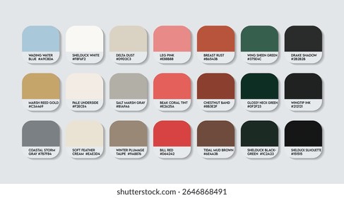 Paleta de cores Tadorna tadorna. Gráfico de amostra de tom de cor tadorna tadorna com códigos HEX e nomes de cores. Penas de pato-prateleira comuns e cores do corpo tons variantes. Paleta de cores de espécies de aves aquáticas de moda