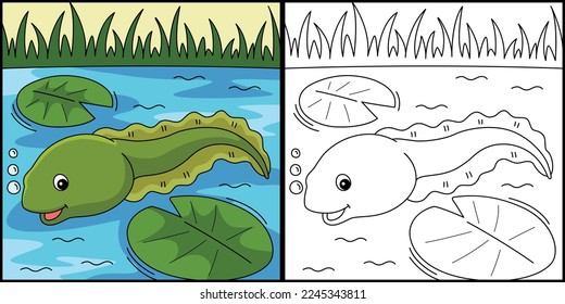 Tadpole Animal Coloring Page Colored Illustration