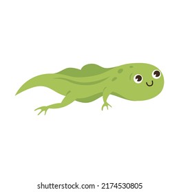 Tadpole cartoon character vector illustration. Drawings of green toads jumping, sitting in pond with lotus, catching dragonflies isolated on white