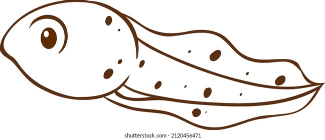 Tadpole in doodle simple style on white background illustration