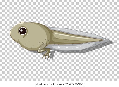 A Tadpole In Flat Cartoon Style Illustration