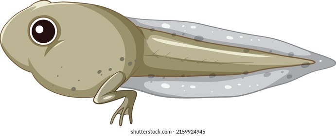 Tadpole frog on white background illustration