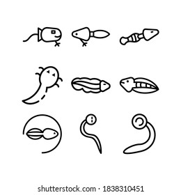 tadpole icon or logo isolated sign symbol vector illustration - Collection of high quality black style vector icons
