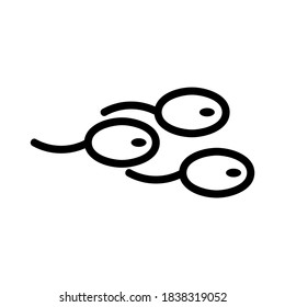 Tadpole Icon Or Logo Isolated Sign Symbol Vector Illustration - High Quality Black Style Vector Icons
