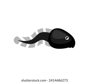 Tadpole isolated. Frog larva. Vector illustration