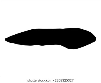 Tadpole silhouette vector art white background