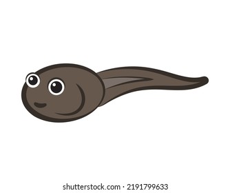 tadpole, young frog, vector illustration