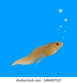 Tadpoles are in the water and breathing with bubbles on a blue background.