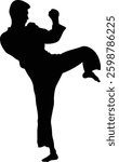 Taekwondo Athlete Silhouette. Isolated on White Background.