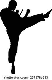 Taekwondo Athlete Silhouette. Isolated on White Background.