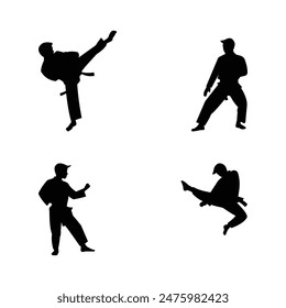 Taekwondo design logo vector illustration