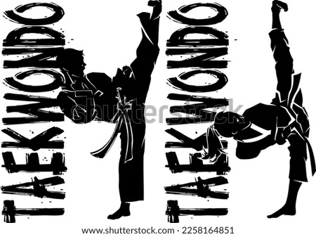 taekwondo martial arts, karate graphic, self control taekwondo sport vector artwork.