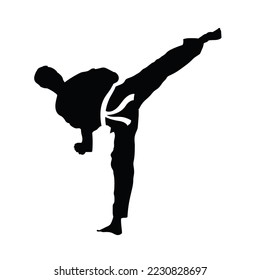 taekwondo graphics