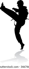 taekwondo silhouette (vector)