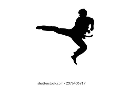 taekwondo silhouette vector. Boxing and competition silhouettes vector image,
